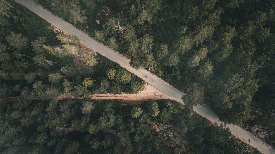 Aerial Divide: Serene Wilderness Road Through Forest Canopy