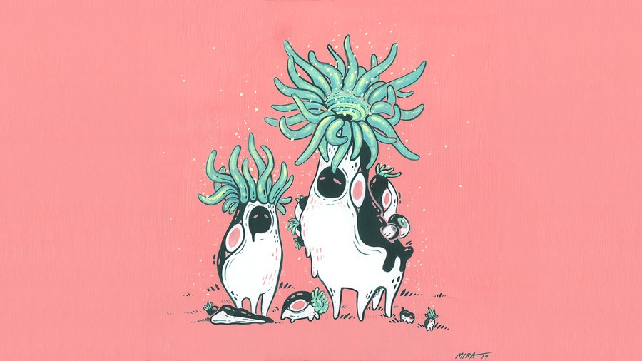 Aquatic Whimsy Amongst Coral