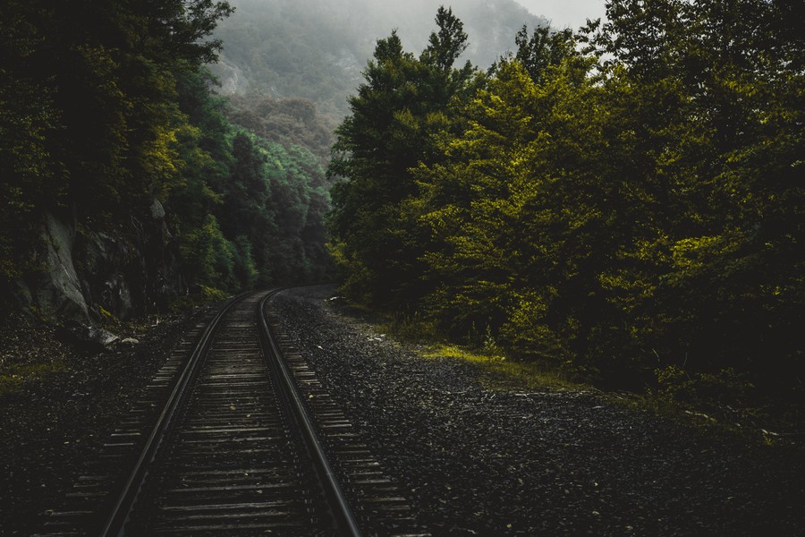 Serene Autumn Train Tracks Through Misty Forest