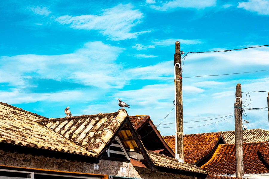 Rooftop Serenity in Autumn