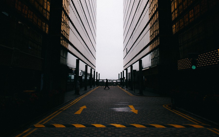 Autumnal Forest Path