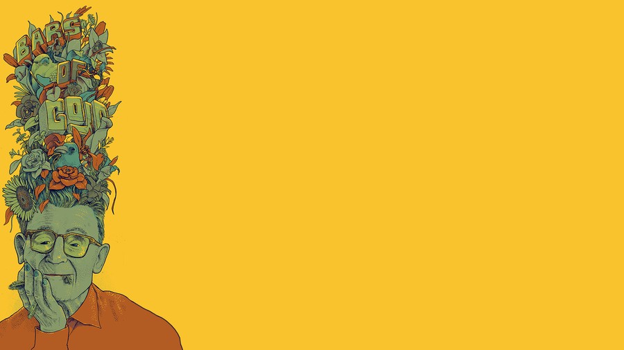 Whimsical 'Bars of Coin': A Surreal Portrait of Wisdom and Imagination