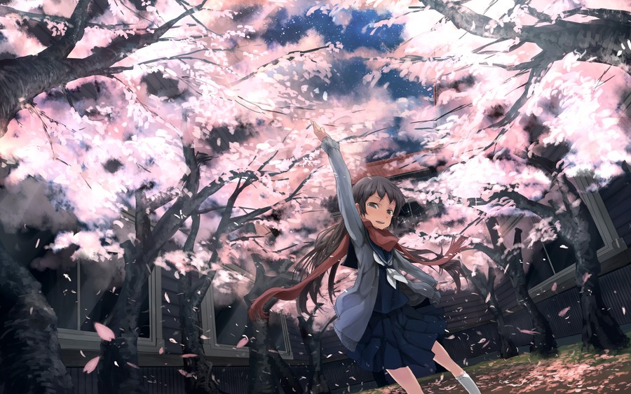Cherry Blossom Grace Anime Wallpaper