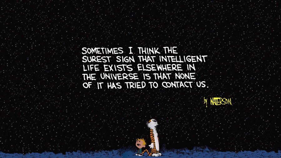 Cosmic Musings: Calvin and Hobbes Among the Stars