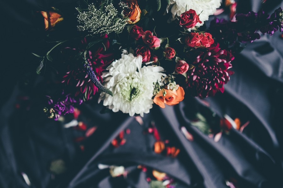 Elegant Botanical Contrasts: Vibrant Blooms Against Dark Elegance