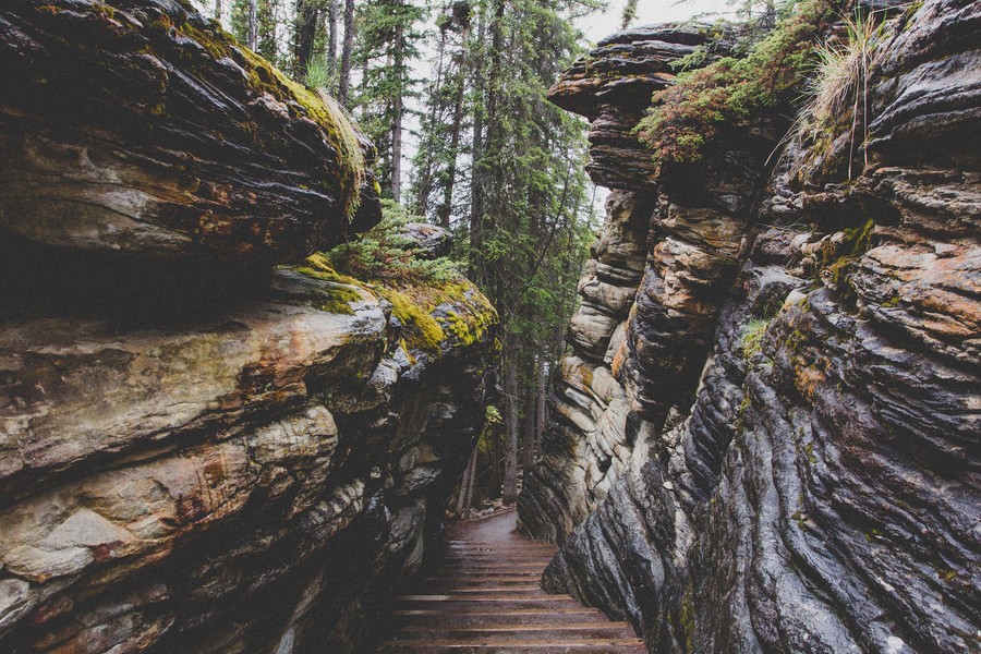 Enchanted Forest Path: Mossy Rocks & Serene Wilderness