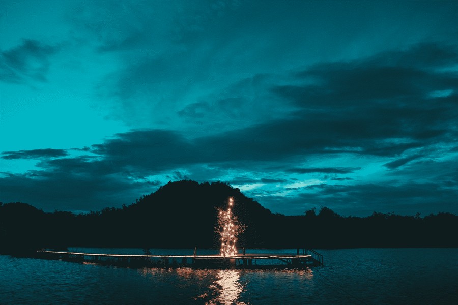 Enchanted Night by the Lake