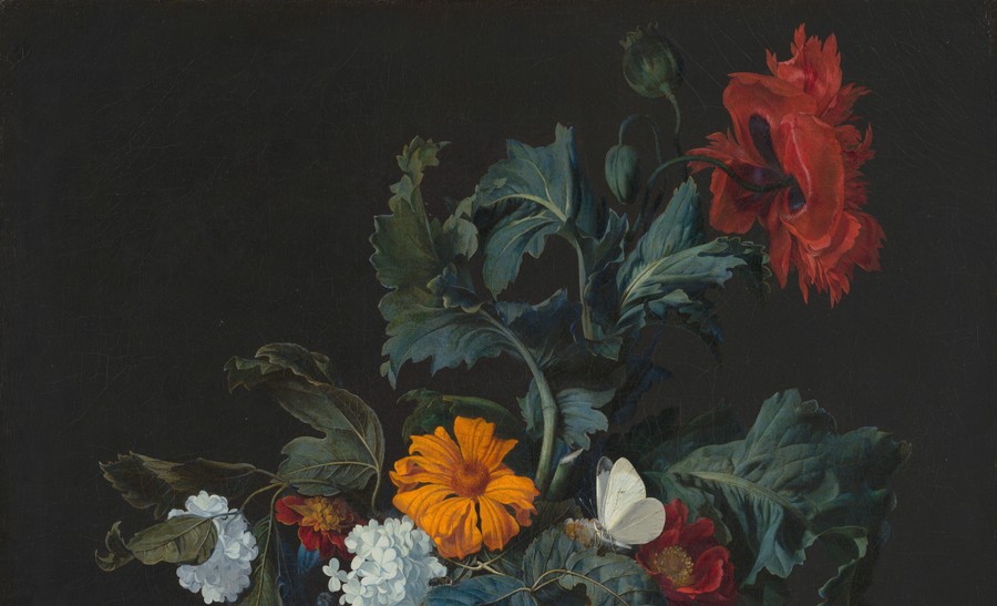 Enigmatic Bloom: Velvet Shadows and Luminous Wildflowers with Butterfly Underscore