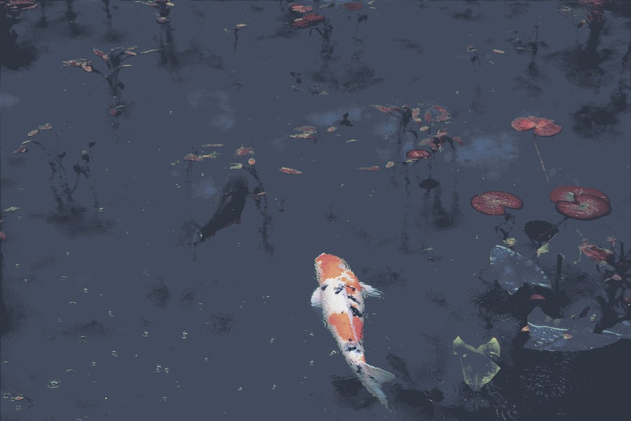 Ethereal Tranquility: Autumn’s Embrace Underwater Ballet of Koi Fish