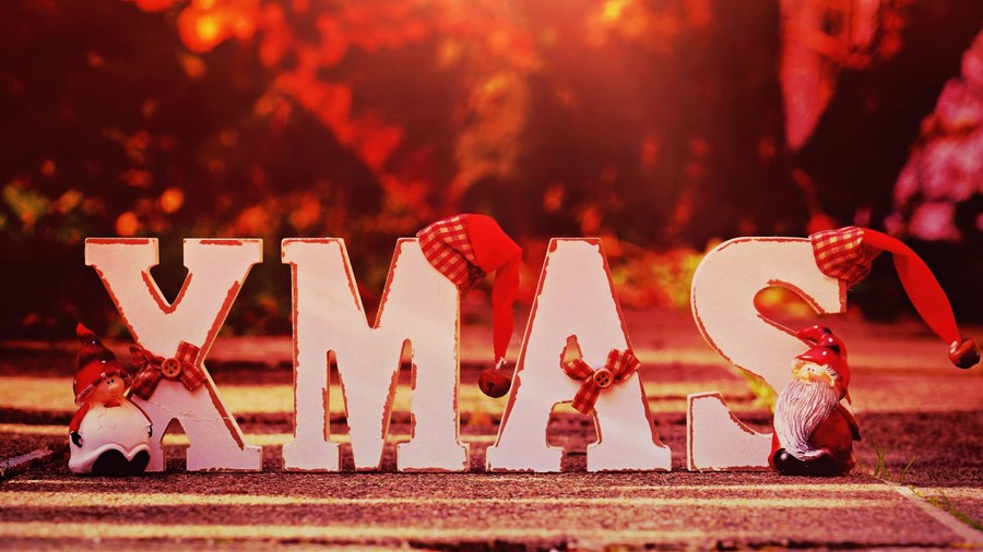 Festive Holiday Cheer: XMAS by the Forest's Embrace