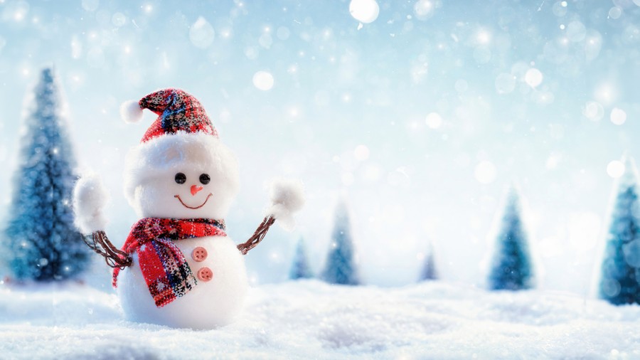 Festive Festivity: Cozy Snowman in Winter Wonderland