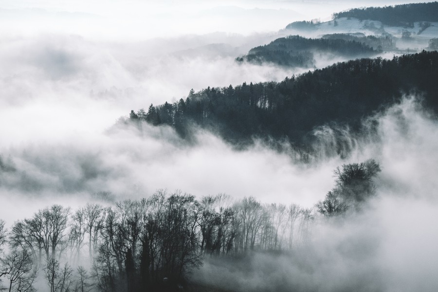 Fog-Kissed Serenity: A Journey Through Ethereal Landscapes
