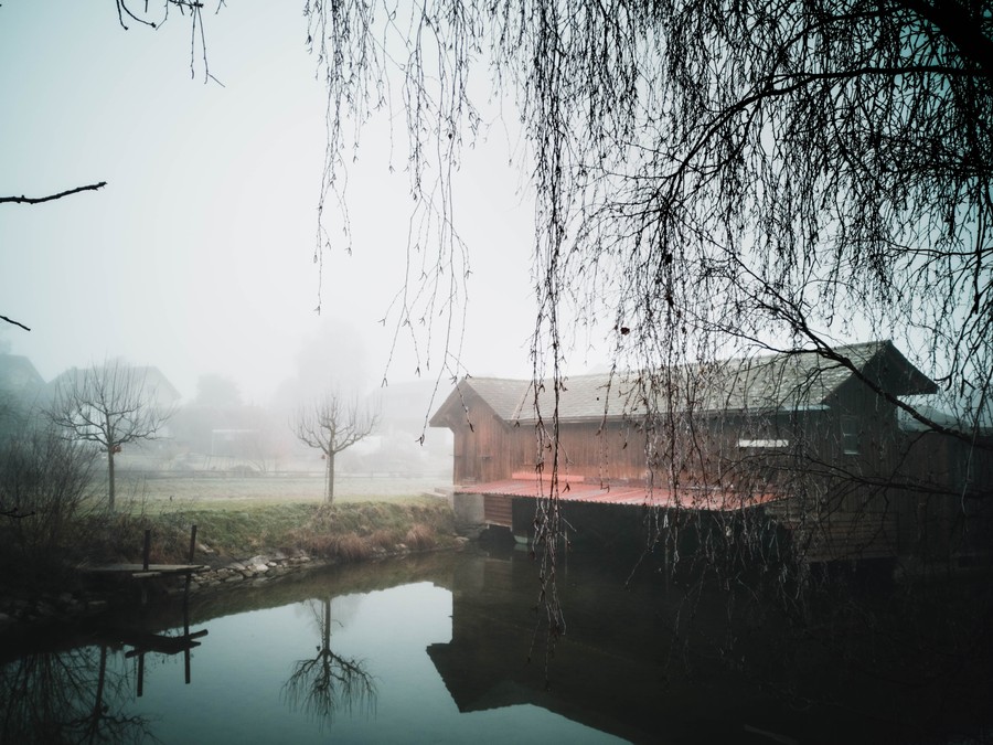 Embracing Solitude: A Foggy Morning by the Lake