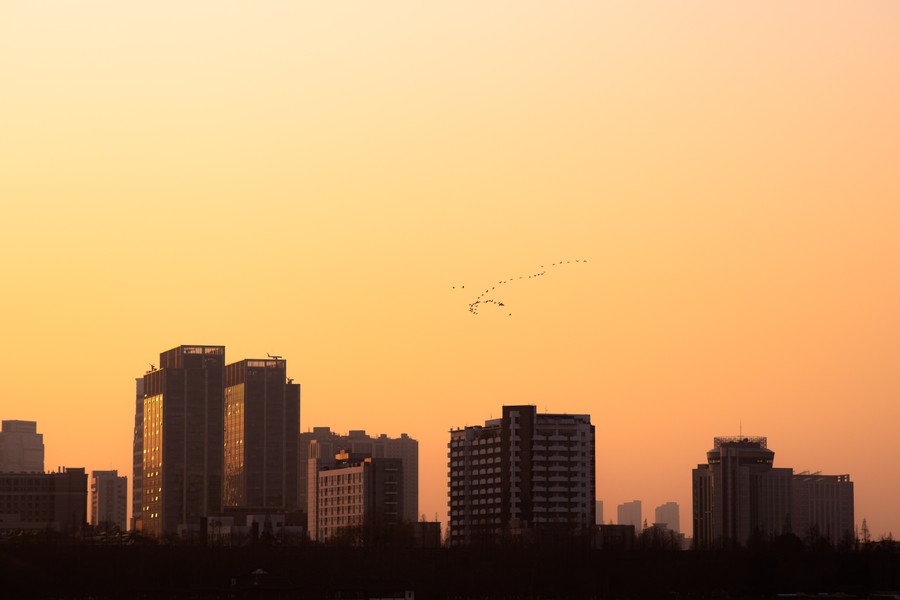 Golden Hour Silhouette: Elegant Cityscape at Sunset
