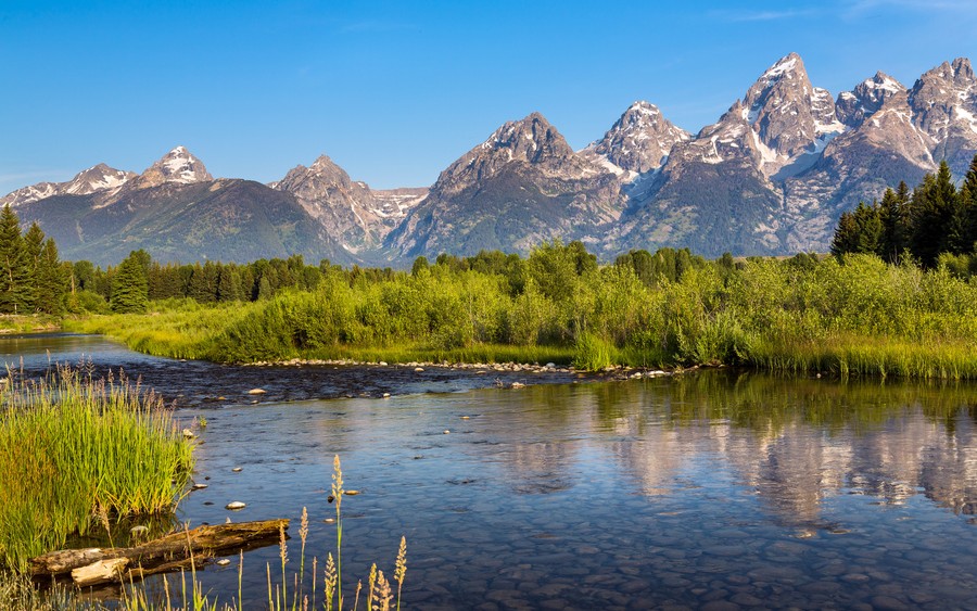 Grand Teton Majesty