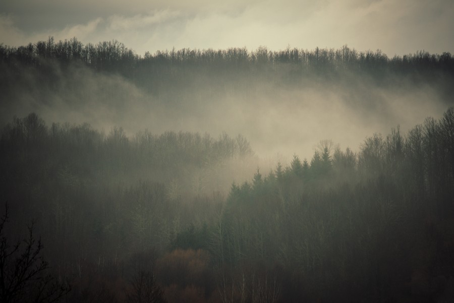 Beneath the Mist-Kissed Ridge: Tranquil Tapestry of Autumn's Silent Enigma