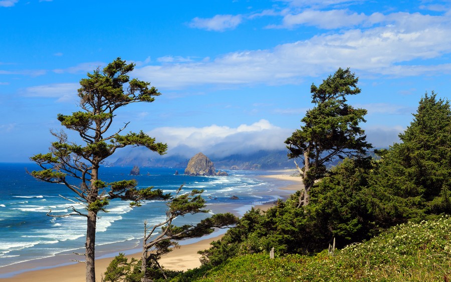 Mystic Sentinel: Oregon's Coastal Guardian