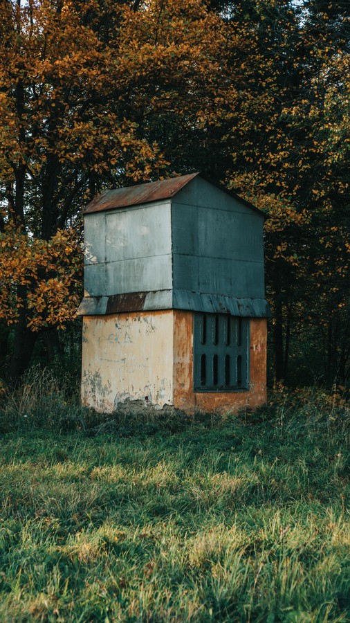 Rustic Watchtower in Autumn Forest