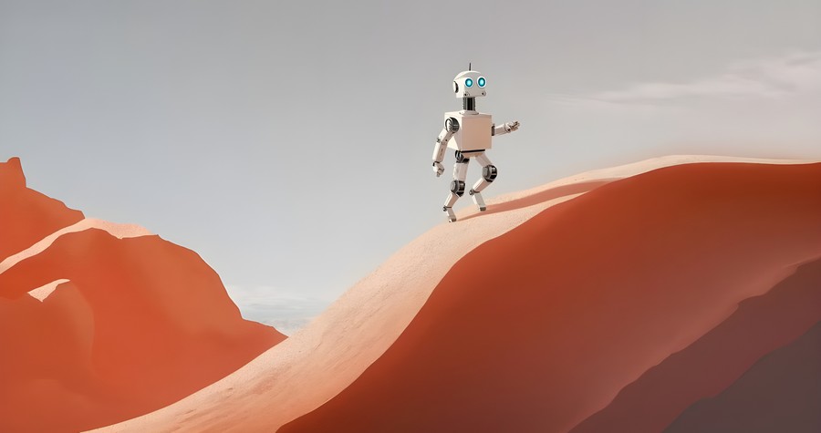 Sentinel of the Sunset Dune