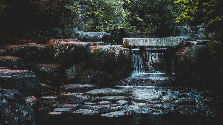 Serene Mossy Waterfall in Verdant Forest