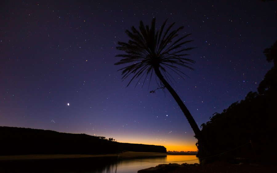Solitary Palm Silhouette: Cosmic Horizon Over Reflective Waters