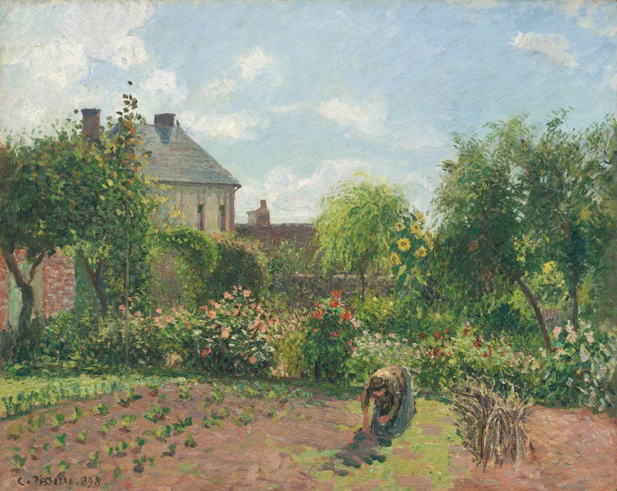 Summer Garden Scene