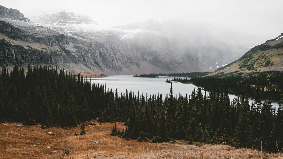 Whispering Pines, Alpine Lake, and Morning Mist: A Tranquil Oasis in the Heart of Nature