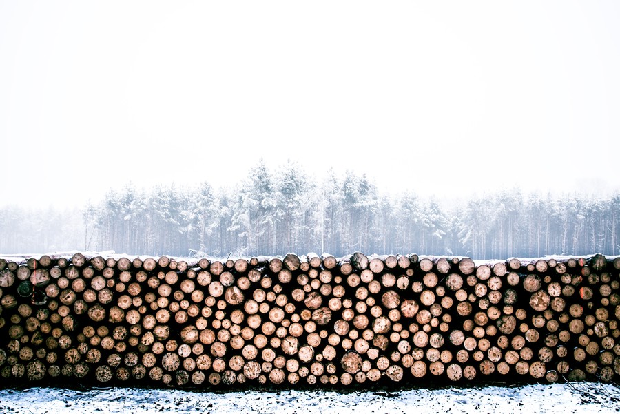 Winter's Embrace: Stacked Logs in a Snowy Landscape