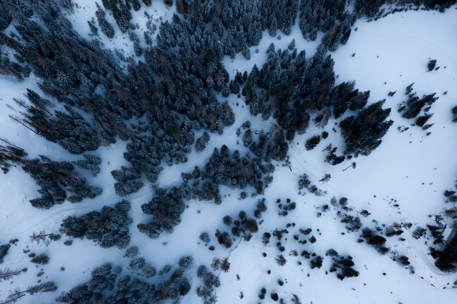 Winter's Embrace: Aerial Forest View