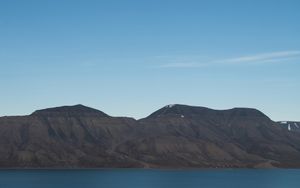 Arctic Majesty - Cute Wallpaper