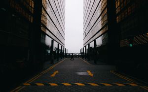 Autumnal Forest Path - Cute Wallpaper