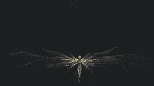 Celestial Enigma: A Luminous Figure Amidst Cosmic Abyss - Cute Wallpaper