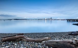 Coastal Serenity: Reflective Waters and City Skyline at Dusk - Cute Wallpaper