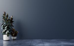 Empire of Solace - Niedliches Hintergrundbild