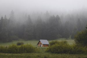 Foggy Cabin in the Woods - Cute Wallpaper