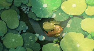 Frog Among Lilies - Cute Wallpaper