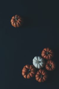Whispers of the Harvest Moon - かわいい壁紙