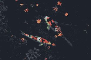 Koi and Autumn Leaves - Cute Wallpaper