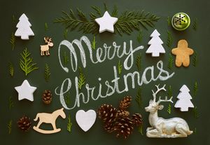 Merry Christmas Aesthetic Forest Scene - Cute Wallpaper