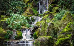 Serene Moss-Covered Cascading Waterfall in a Lush Tropical Oasis - Fond d'écran mignon