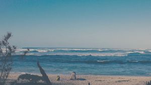 Serene Coastal Solitude: Meditative Refuge at the Edge of the Sea - Niedliches Hintergrundbild
