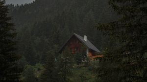Serene Forest Cabin Retreat - Cute Wallpaper