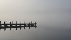 Silent Repose: Mist-Kissed Wooden Dock at Dawn - Cute Wallpaper