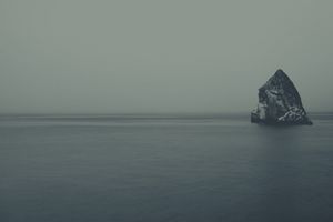 Solitary Sentinel - Cute Wallpaper