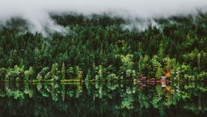 Reflections of Serenity: Tranquil Lake Retreat Amidst Mist-Cloaked Mountains - Fond d'écran mignon