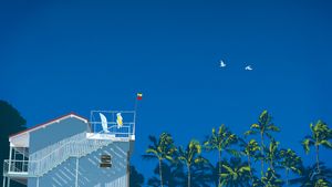 Tropical Coastal Retreat: Blue House With Palm Trees - 可爱壁纸