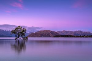 Twilight's Reflection: Solitude by the Lake - かわいい壁紙