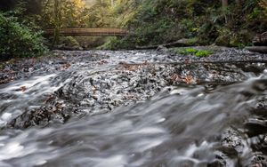 Whispers of Autumn: A Woodland River Crossing - خلفية لطيفة
