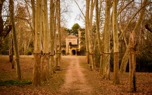 Whispers of Time: A Timeless Ethereal Retreat in Woodland Tranquility - 可爱壁纸