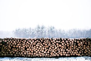 Winter's Embrace: Stacked Logs in a Snowy Landscape - Cute Wallpaper